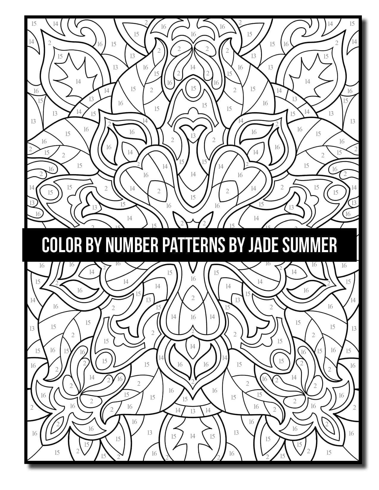Color by Number Patterns: An Adult Coloring Book with Fun, Easy, and  Relaxing Coloring Pages (Color by Number Coloring Books)