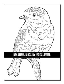 Beautiful Birds Coloring Book | Jade Summer